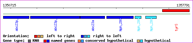 gene map