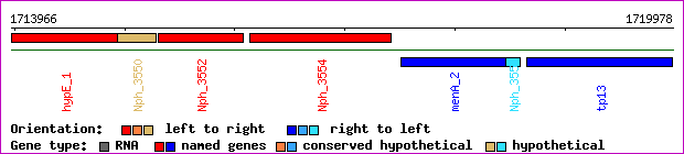 gene map