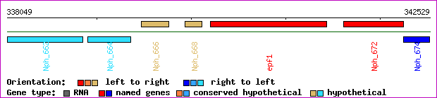 gene map