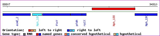 gene map