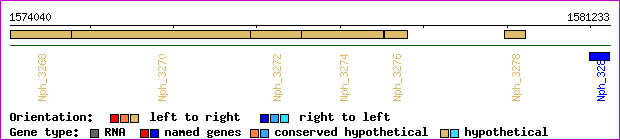 gene map