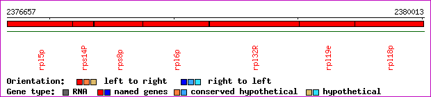 gene map