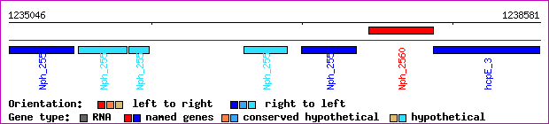 gene map