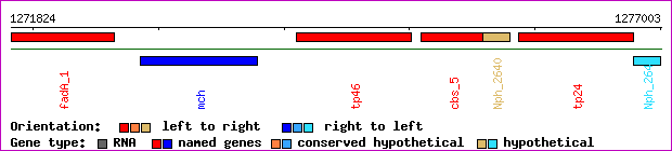 gene map