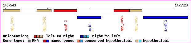 gene map
