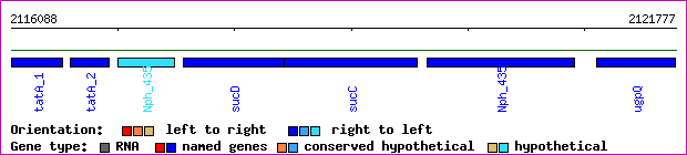 gene map