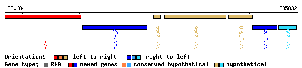 gene map