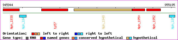 gene map