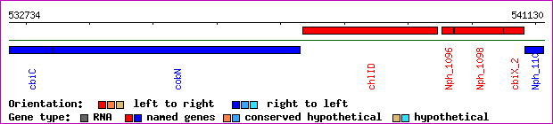gene map
