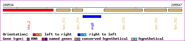 gene map