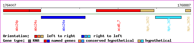 gene map