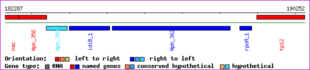 gene map