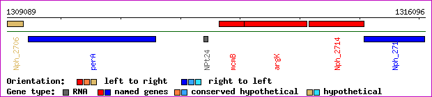 gene map