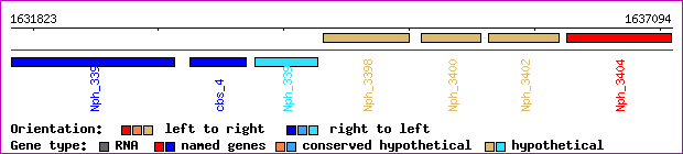 gene map