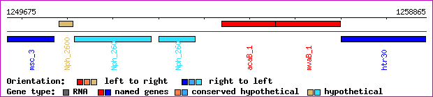 gene map