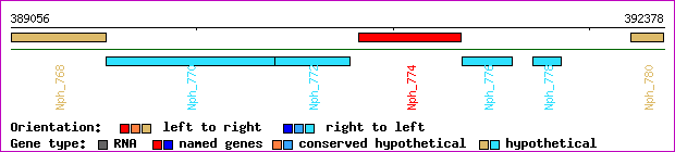 gene map