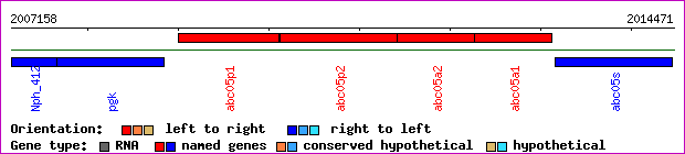 gene map