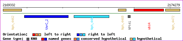 gene map