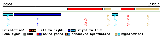 gene map