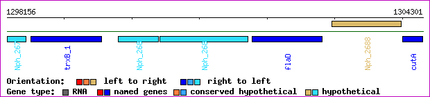 gene map