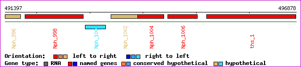 gene map