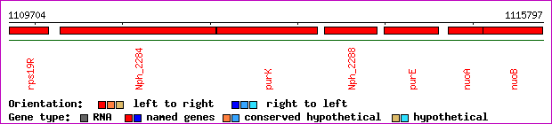 gene map