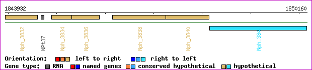 gene map