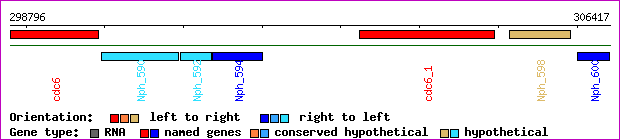 gene map