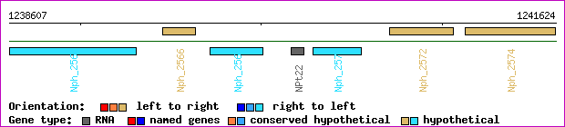 gene map