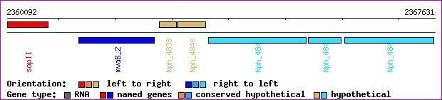 gene map