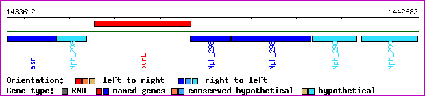 gene map