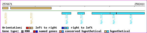 gene map
