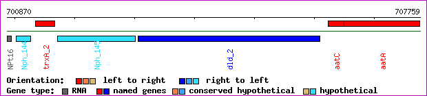 gene map