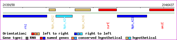 gene map