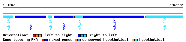 gene map