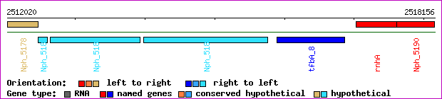gene map
