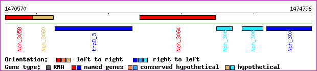gene map