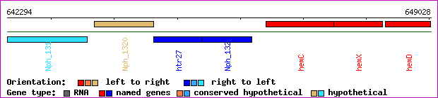 gene map