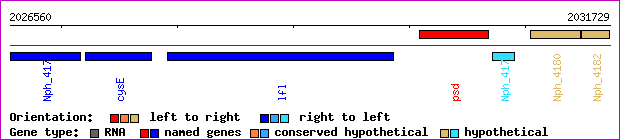 gene map