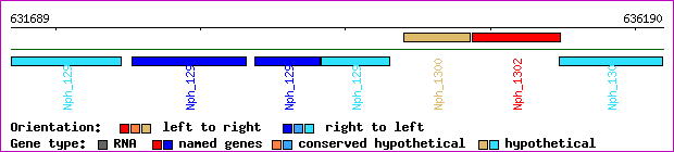 gene map