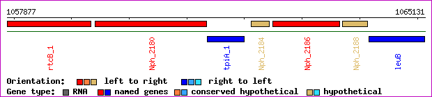 gene map