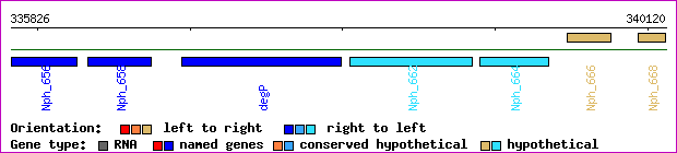 gene map