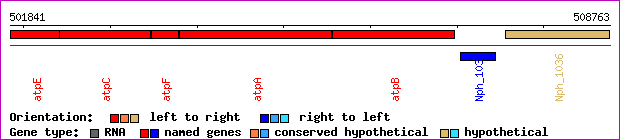 gene map