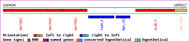gene map