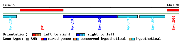 gene map