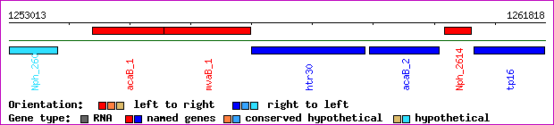 gene map