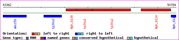 gene map