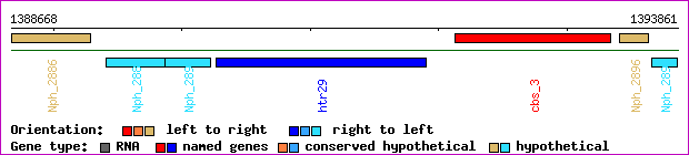 gene map