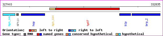 gene map