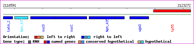 gene map